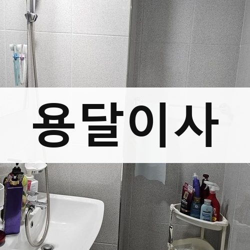 경기 동남부(성남·광주·이천) 용달이사 포장이사