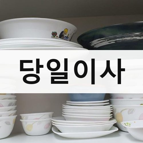 경기 동남부(성남·광주·이천) 당일이사 포장이사